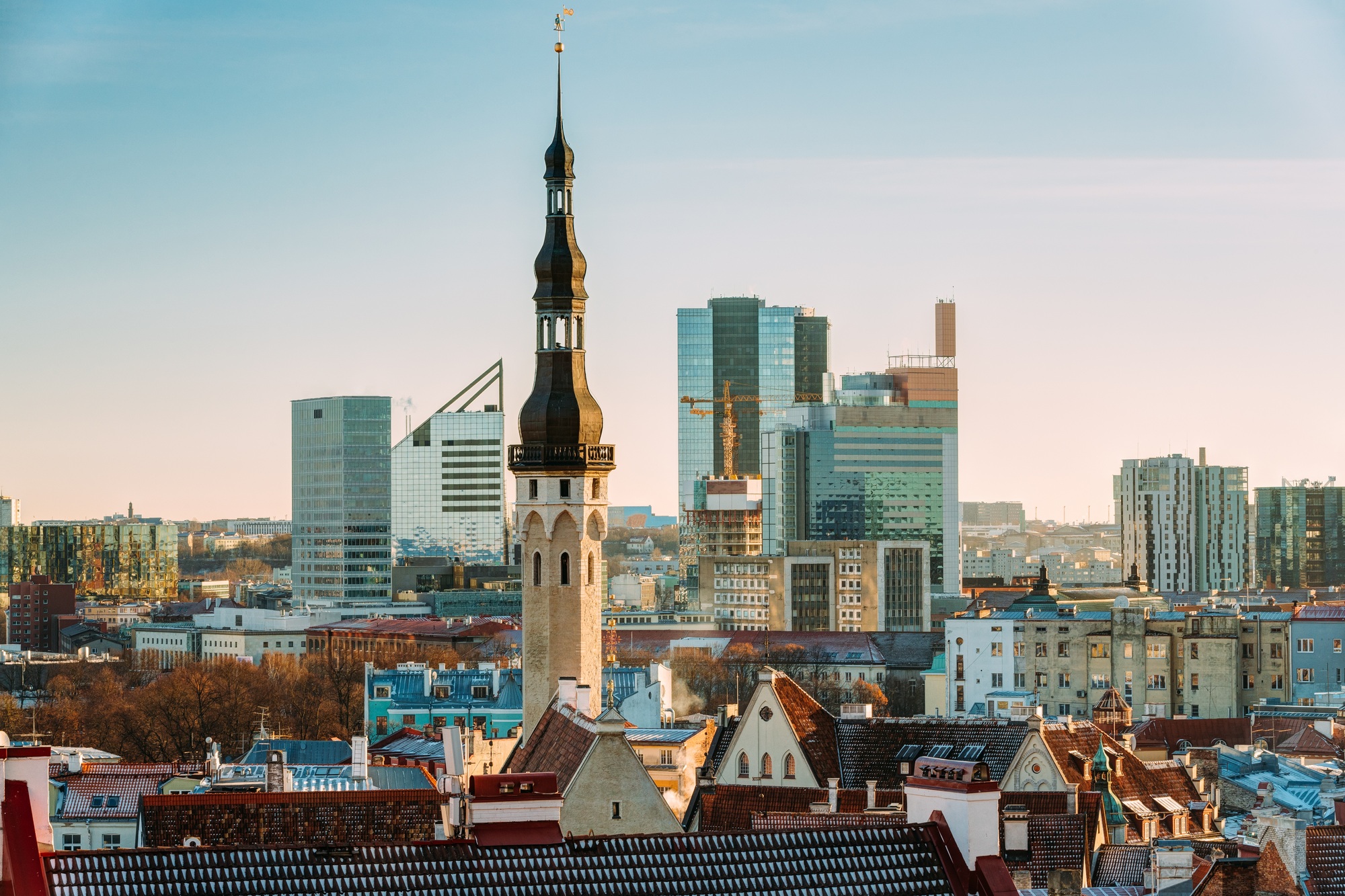 Tallinn, Estonia. View Of Tower Of Tallinn Town Hall On Backgrou